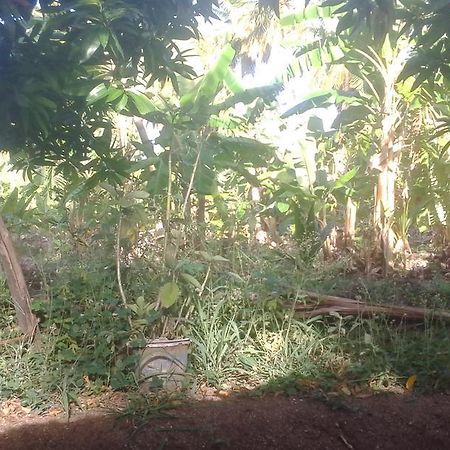 ホテルGolden Garden ハンピ エクステリア 写真
